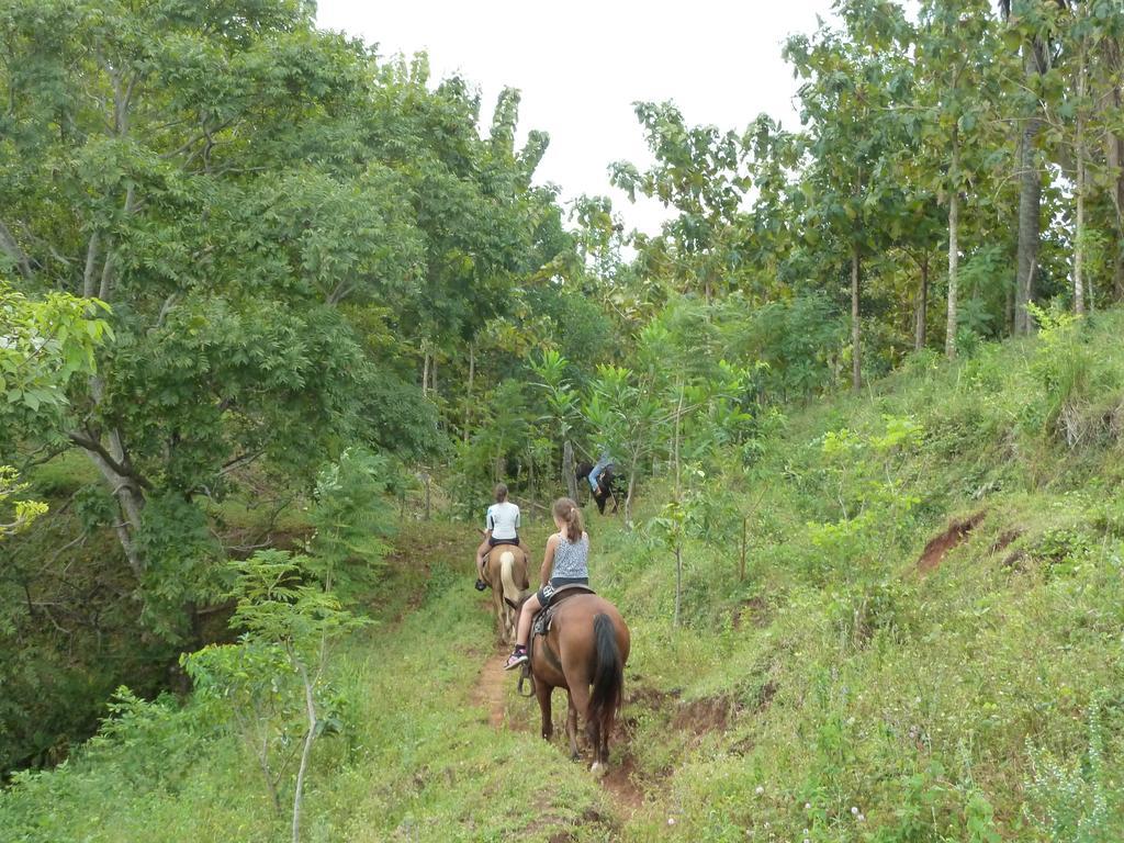 Eco Venao Lodge, Playa Venao Rum bild