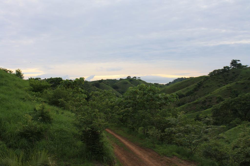 Eco Venao Lodge, Playa Venao Rum bild